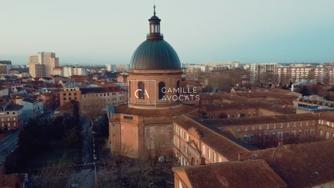 MEILLEURS VOEUX 2026